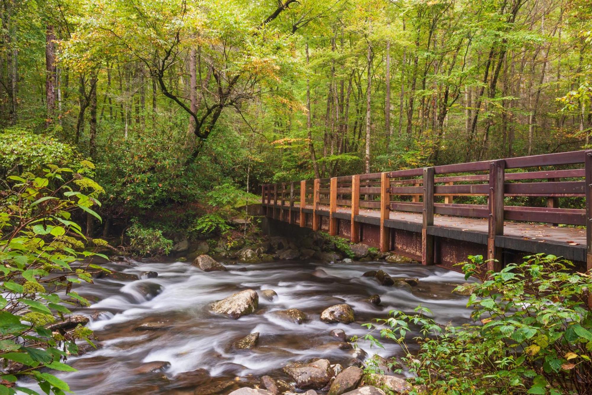 Forever Yours, Hot Tub, 1089 Of Free Attraction Tickets For Each Paid Day, Dollywood And More Pigeon Forge Zewnętrze zdjęcie